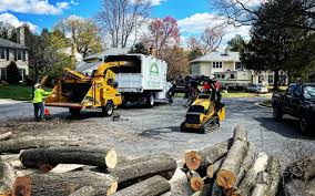 Best Storm Damage Tree Cleanup  in Kingston, TN